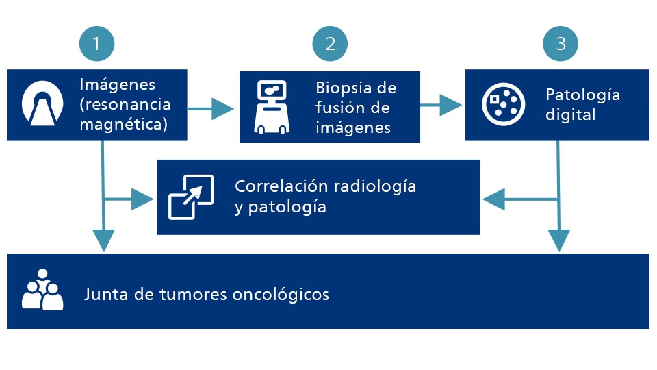La RM que conecta diagramas, la biopsia por fusión de imágenes, la anatomía patológica digital, la radiología y la anatomía patológica, y la junta de tumores oncológicos