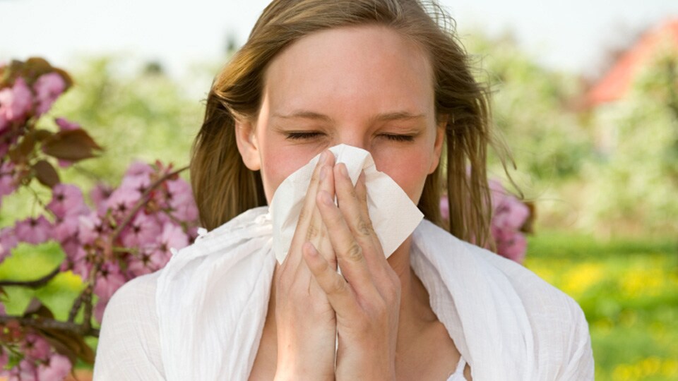 ¿Es asma o alergia?