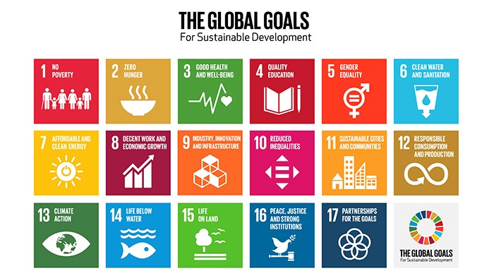 the global goals 